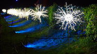 http://cullens.org.uk/Cullens_Images/KEW_Christmas-lights/0055037.jpg